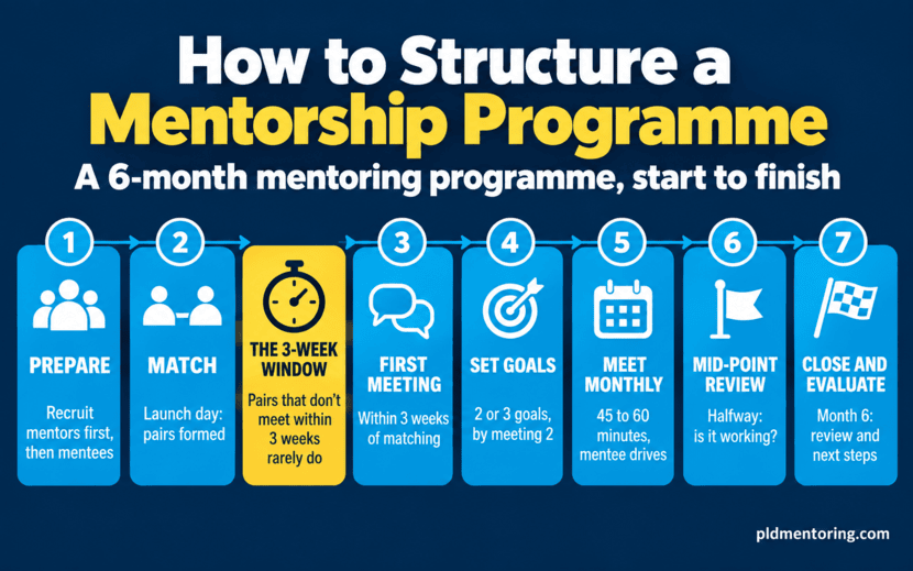 Mentorship programme structure infographic showing a six-month mentoring programme timeline: prepare, match, first meeting within three weeks, set goals, meet monthly, mid-point review, close and evaluate