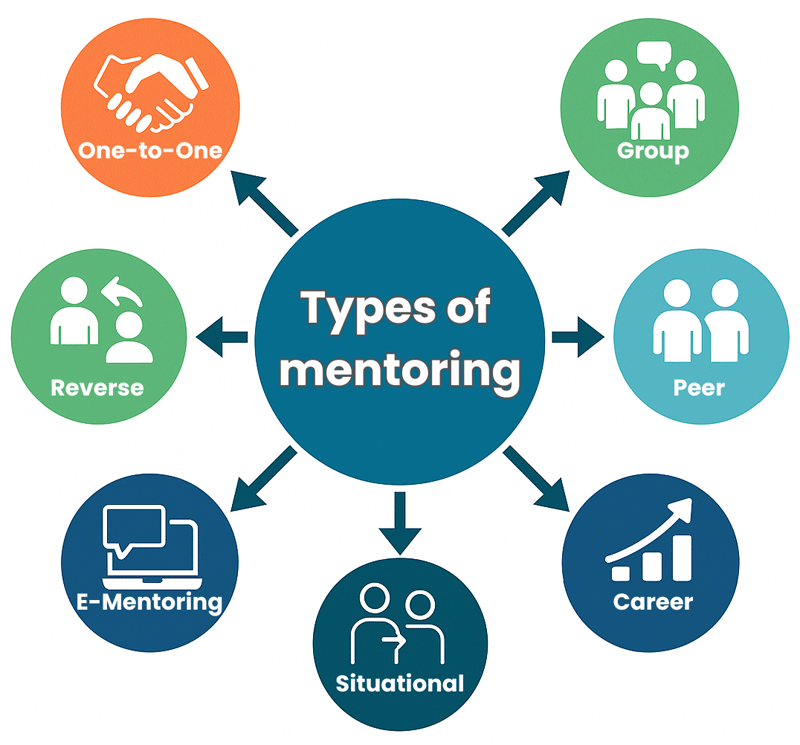 Infographic showing main types of mentoring representing One-to-One, Group, Peer, Reverse, E-Mentoring, career and Situational mentoring.